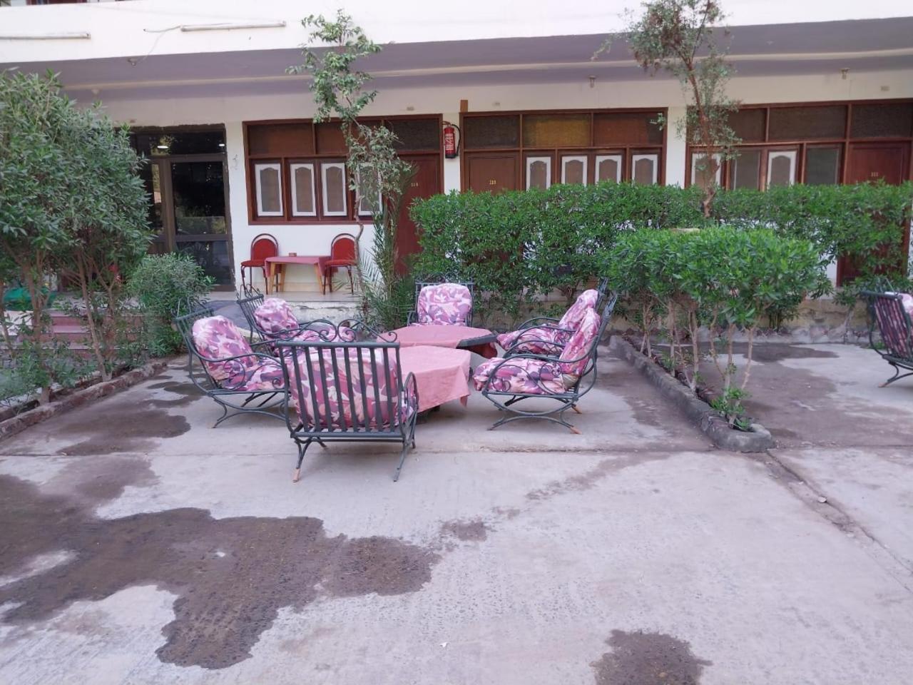 Rezeiky & Camp Campsite Luxor