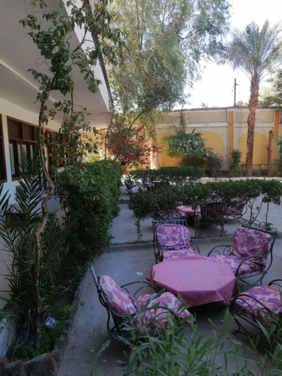 Rezeiky & Camp Luxor