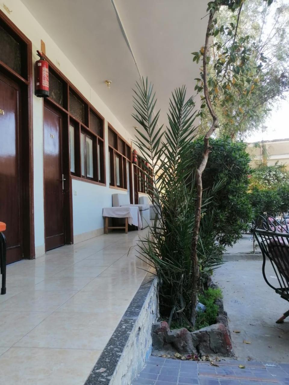 Rezeiky & Camp 3* Luxor