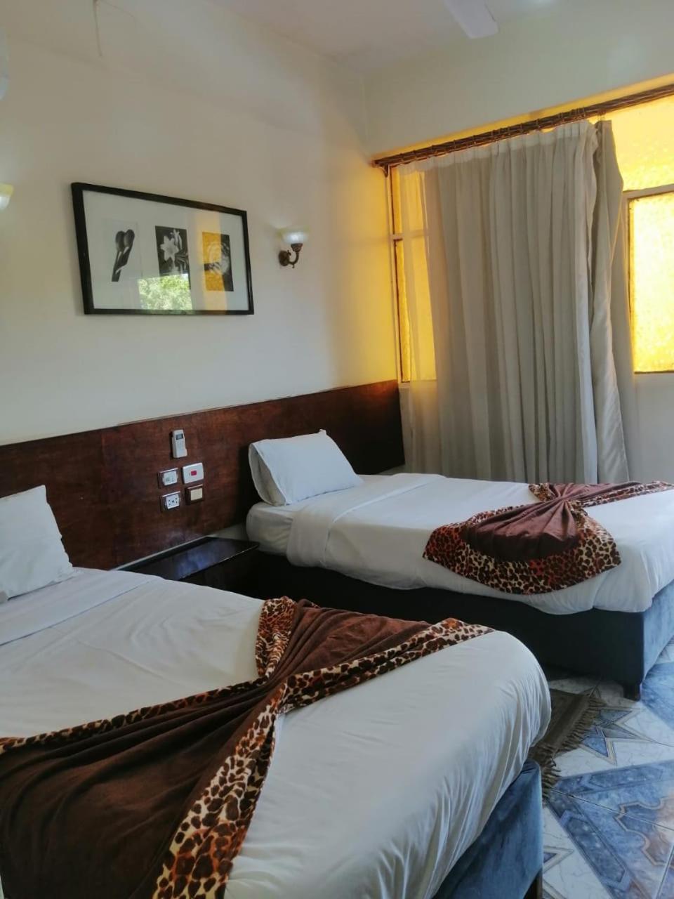 Rezeiky & Camp Campsite