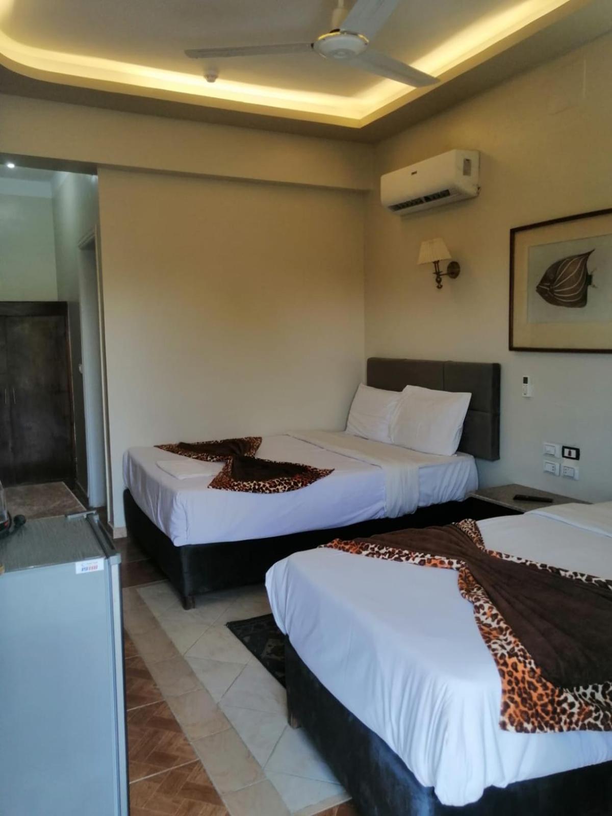 Rezeiky & Camp Campsite Luxor